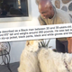 Illustration for article titled Neighbor Snaps Photo of Black Man Walking Dogs, Makes Him Suspect in Criminal Manhunt